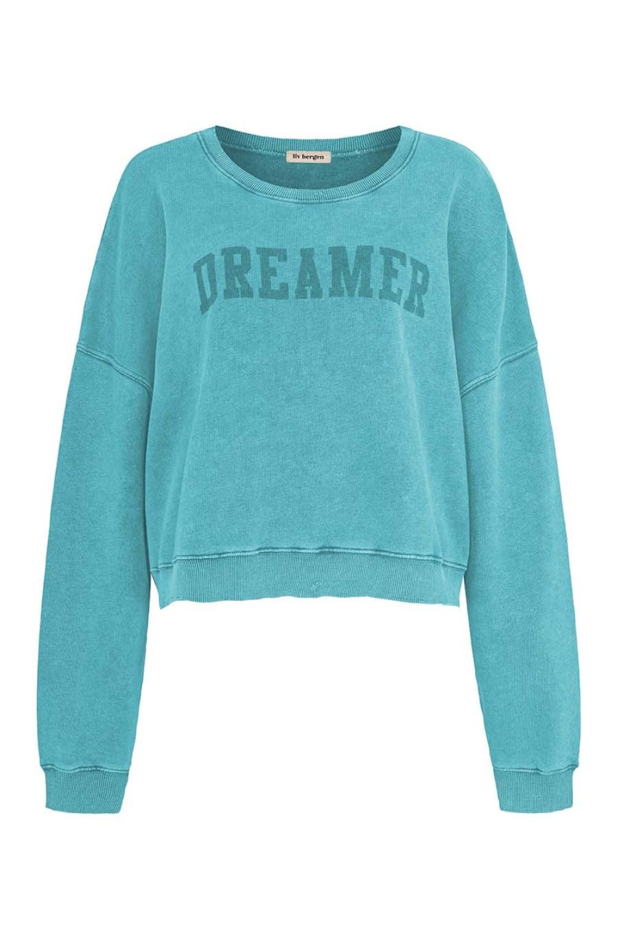 Kleidung liv bergen | Sweater Dreamer In Tropical Green